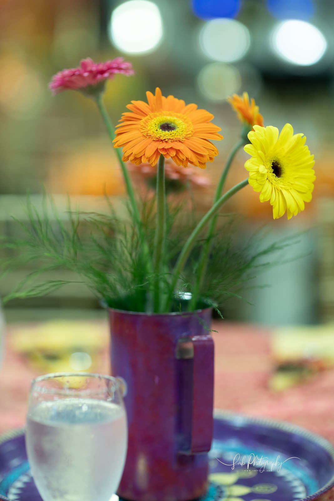 Fresh gerbera in a painted pot
